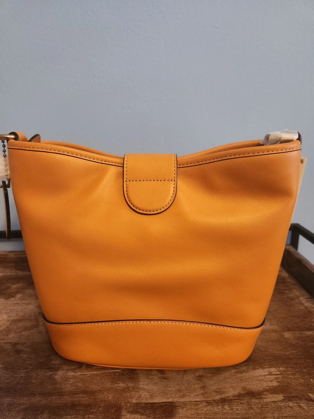 Coach TALI BUCKET BAG IN PAPAYA NWT